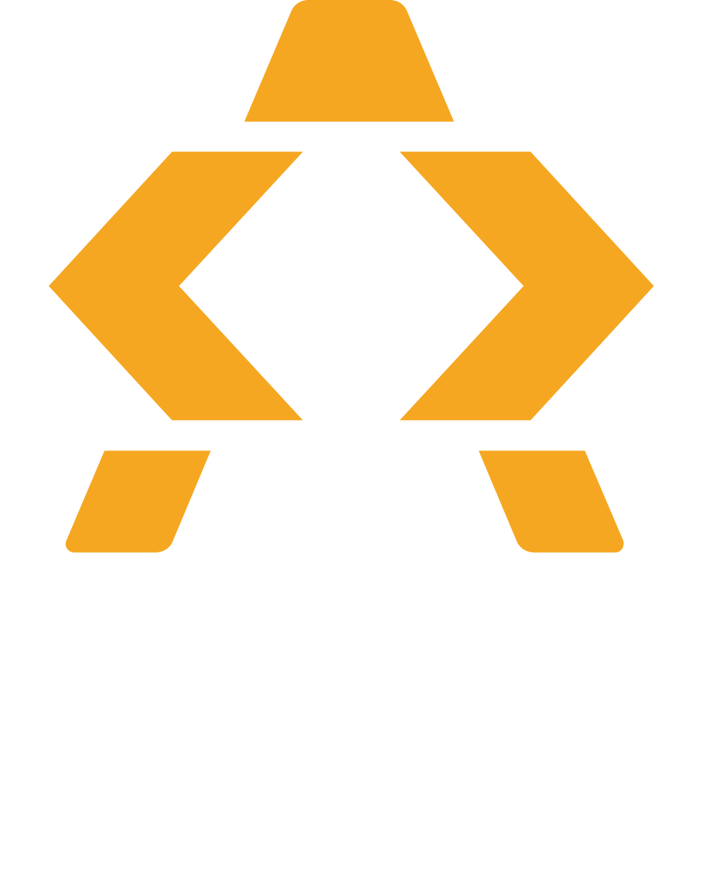 Ajroni Enterprises Web Agency